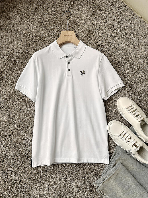 THS-限时 RL马球家 男士翻领网眼柔软短袖polo 3色 AH2514 商品图8