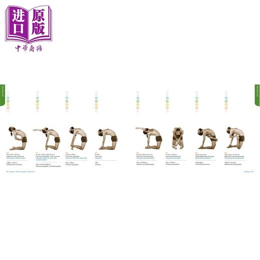 【中商原版】瑜伽体式 瑜伽姿势百科全书 英文原版 Yogasana The Encyclopedia of Yoga Pose Yogrishi Vishvketu 商品图2