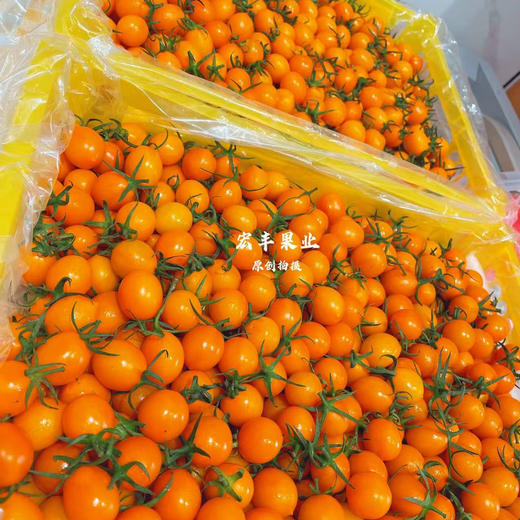 【宏丰精选】黄金千禧新鲜到货，口感很好，纯甜，活动价15.8元一斤 商品图4