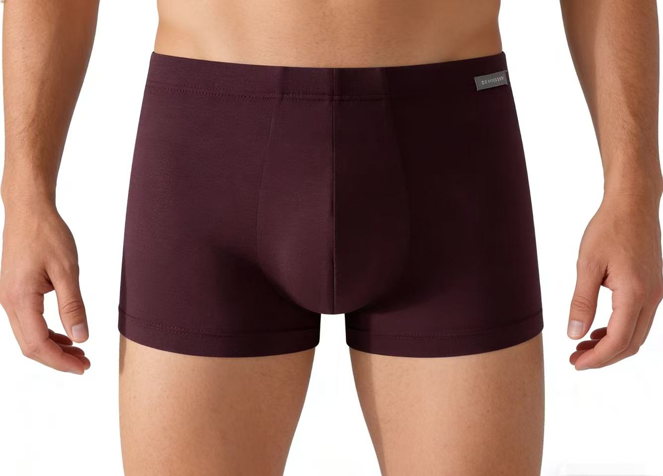 【天丝莫代尔】SCHIESSER德国舒雅男士薄款柔软亲肤天丝莫代尔中腰平角小裤单条装35/24174T