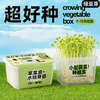 【29.9元任选3大盒❗️水培盆栽】柚芽儿童种植水培植物盆栽 小学生发芽蔬菜生长盒 水养无土栽培 商品缩略图1