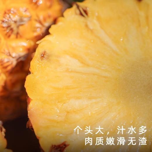 艾格吃饱了2026年芒果凤梨热带水果浓香 商品图1