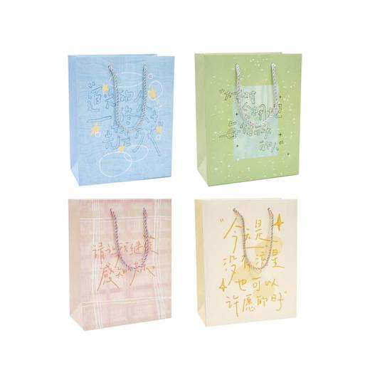 纸先生追光而行系列礼品袋中号 商品图4