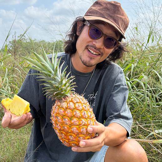 极客森林凤梨（金钻）丨被森林包围的农场，树上熟采摘，绿色食品认证，香甜味浓，削皮即食，到货挑熟度高的先吃，常温保存，切勿直接冷藏⭐️顺丰快递 商品图3