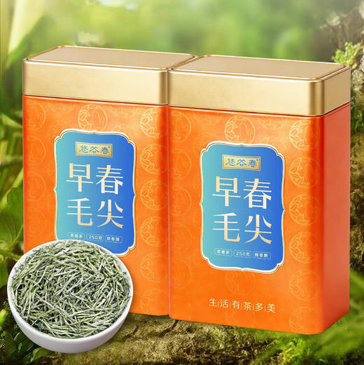 2026新茶• 早春毛尖250克 全是茶毛毛的好茶 商品图7