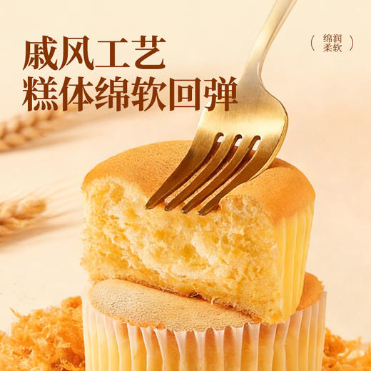 【双肉松配比 ≥7％猪后腿肉肉松 +≥3%鸡肉松】欣欣咸香肉松戚风蛋糕健康早餐糕点450g＊2箱（每箱10个共20个）-FF 商品图3