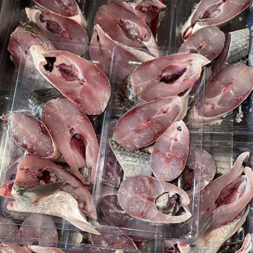 【野生海乌鱼】生态海鱼，肉多剌少，当天现捕现发，杀好急冻保鲜，每条约1-2斤 商品图1