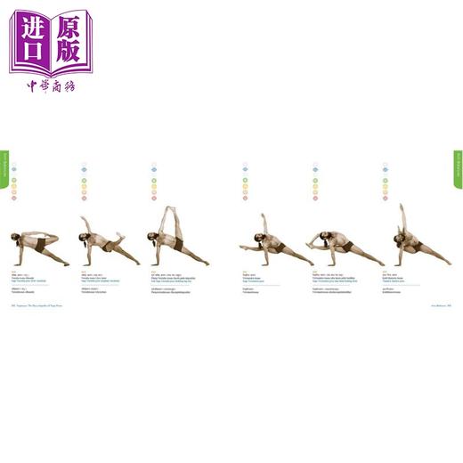 【中商原版】瑜伽体式 瑜伽姿势百科全书 英文原版 Yogasana The Encyclopedia of Yoga Pose Yogrishi Vishvketu 商品图4