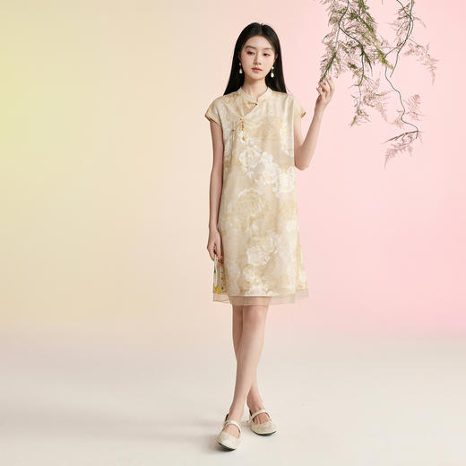 【溪风晚月】三彩2026夏季新款短袖立领连衣裙新中式A字裙宽松C 商品图3