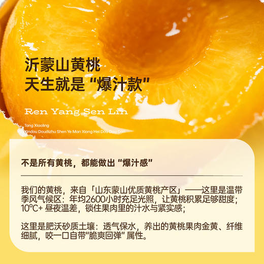 【认养森林×奇伟】爆汁黄桃 商品图3
