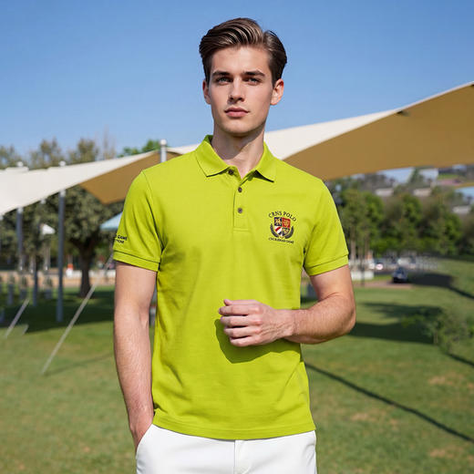 100%棉男装短袖T恤夏季高档polo衫翻领休闲男上衣   XLM-CM8687191 商品图6