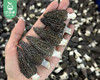 云南精选头茬羊肚菌（200g±2g包 4-5cm）生产日期: 3月 商品缩略图1