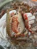 海捕野生杂虾【新鲜活冻】 商品缩略图4