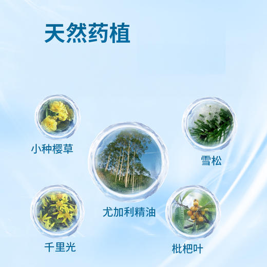 美国进口Cinmose鼻舒宁 尤加利星油藤喷雾剂 50ml/瓶 商品图4