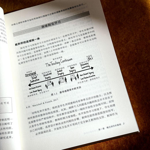 概念探究教学 促进可迁移理解的策略 大夏书系 培养学习力译丛 深度学习 商品图8