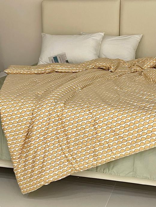 【清仓99元/床】全棉春秋被芯 4.5斤重适合22-25℃以上的温度【不支持退换货】 商品图5