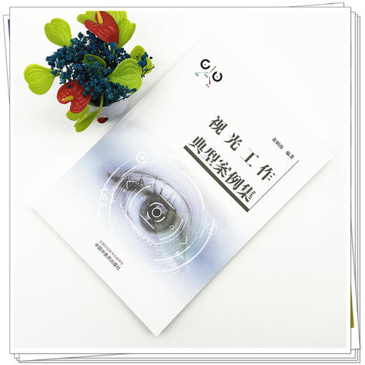 视光工作典型案例集 黄炳南 编著 此书是技术类书箱 是广大近视防治从业人员都是推荐书籍之一 9787524702191 中国中医药出版社 商品图2