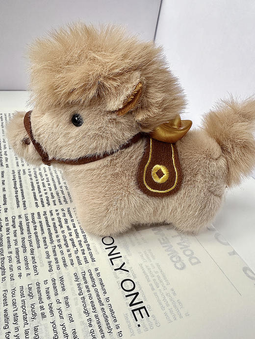 THS-无 爱马家 福马限定项链 福马项链赠送福马挂件 2色 CU1342 商品图11