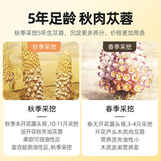 【杞里香内蒙古阿拉善肉苁蓉片250g】泡水配锁阳淫羊藿旗舰店麟纹明显 肉质肥厚 油性十足 商品图4