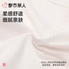 都市丽人内裤女士内裤人棉罗纹内裤木代尔内裤纤柔绵内裤LKC5C1 商品缩略图5