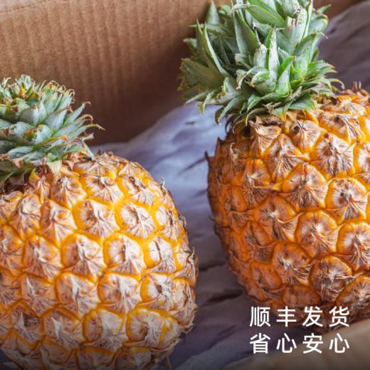 艾格吃饱了2026年芒果凤梨热带水果浓香 商品图4