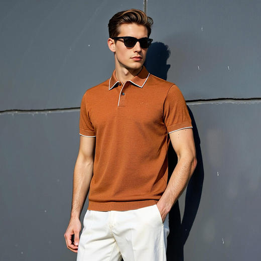 肌理感老钱风polo衫男士潮流简约通勤夏季百搭短袖上衣   XLM-CAC8687210 商品图0