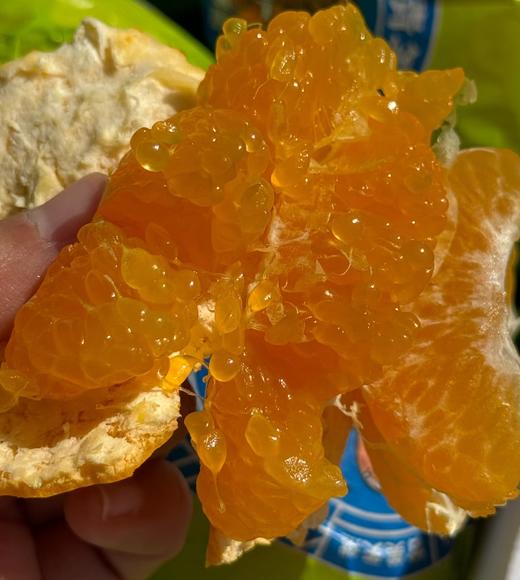 周二取货：【大雅柑】一份4斤左右，浓甜爆汁，果肉嫩，果味浓郁。 商品图3