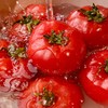 【美味生鲜丨普罗旺斯水果西红柿4.5斤装】 高标准培育，自然成熟无激素，当日采摘发货，确保番茄新鲜度，果香浓郁沙瓤多汁，皮薄肉厚，汁水丰沛，孕妇宝宝都能吃，满口都是小时候的味道 商品缩略图1