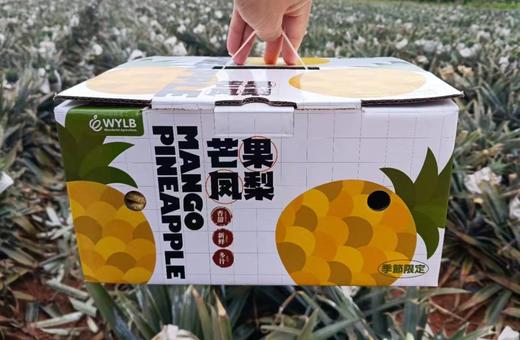 【会员39.5/颗】海南空运芒果凤梨 大果 3斤左右/颗 商品图6