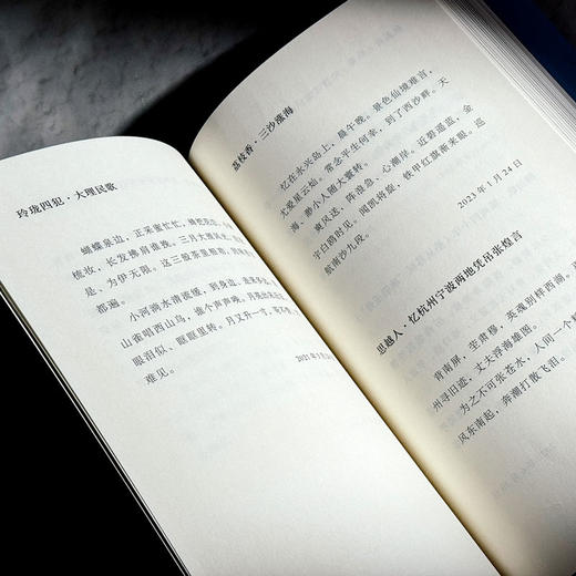 尚古从今自一心 诗词曲自选集 林在勇 商品图10