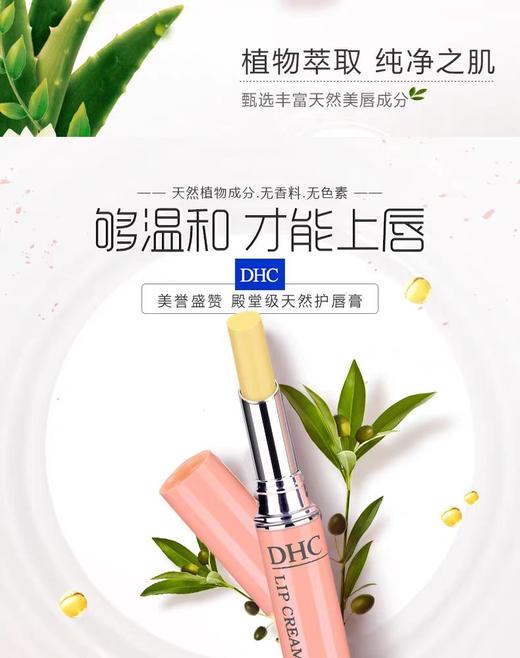 DHC橄榄护唇膏 商品图2