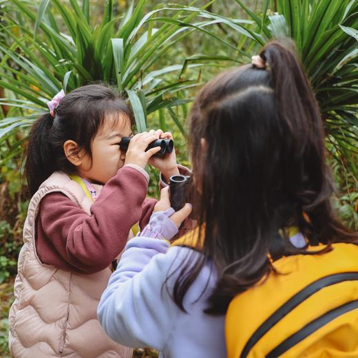 【暑假】何以岭南，在百越之地约会广西神奇生物【山海经】 7天6晚 商品图11