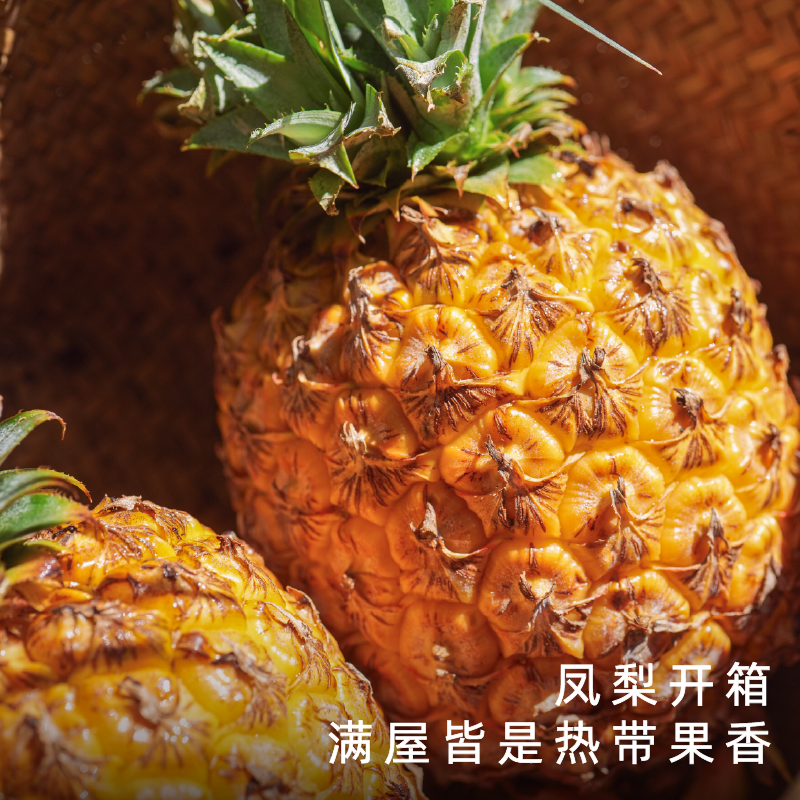 艾格吃饱了2026年芒果凤梨热带水果浓香