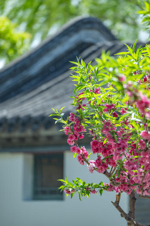 4月7日【北京】春日皇城七百年繁华盛世5天（筑梦中国8人封顶） 商品图2