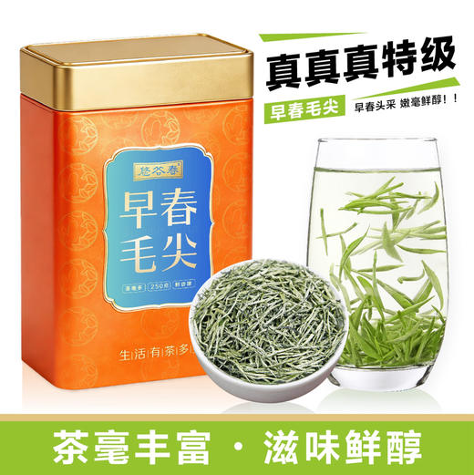 2026新茶• 早春毛尖250克 全是茶毛毛的好茶 商品图1