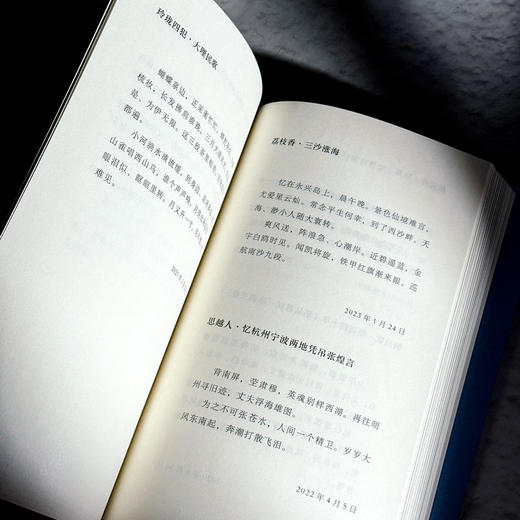 尚古从今自一心 诗词曲自选集 林在勇 商品图9