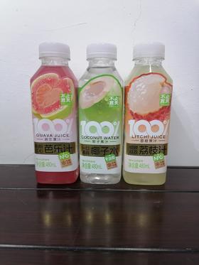 不止夏天果汁饮料480ml