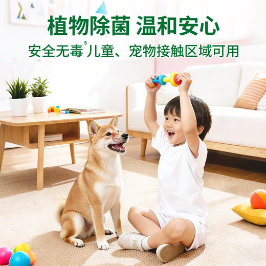 『植物清新除菌液』全方位家居除菌 家居/衣物都能用 商品图4