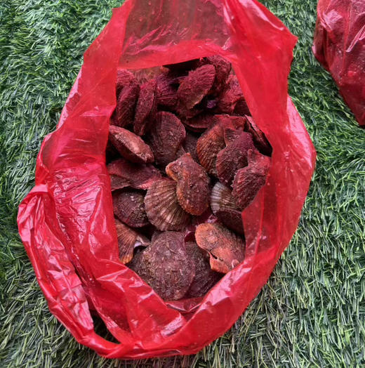 日照超肥栉孔贝，壳薄肉厚，大部分带黄！
贝肉鲜甜弹牙！壳子特别丑，肉无沙，约2.5斤/份 商品图2