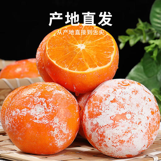 广西茂谷脏脏柑2.5kg/箱 商品图2