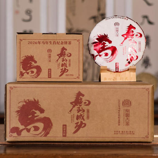 马到成功2009年班章古树熟茶357克 商品图2