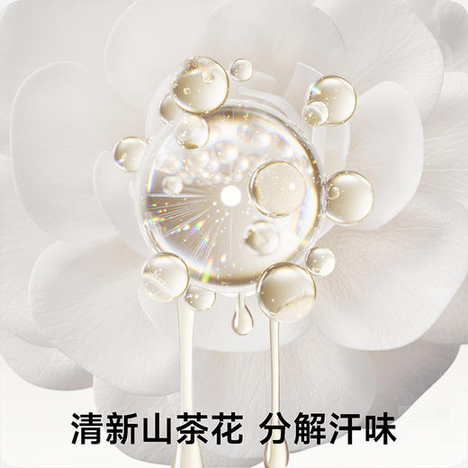 草本初色10A抗菌防臭女袜DB201女袜一盒装（7双） 商品图4