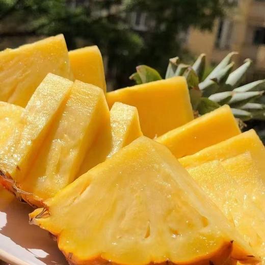 【醒粉福利24.9元4.5斤「2个装」】海南金钻凤梨  大果 单个大小保2斤 商品图2