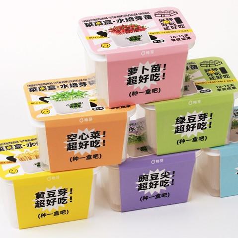 【29.9元任选3大盒❗️水培盆栽】柚芽儿童种植水培植物盆栽 小学生发芽蔬菜生长盒 水养无土栽培 商品图8