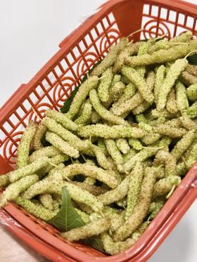 纯甜长条 白桑葚约350g/篮