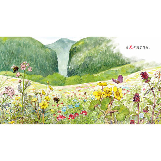 《小熊壮壮》（共4辑） 商品图4