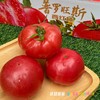 【美味生鲜丨普罗旺斯水果西红柿4.5斤装】 高标准培育，自然成熟无激素，当日采摘发货，确保番茄新鲜度，果香浓郁沙瓤多汁，皮薄肉厚，汁水丰沛，孕妇宝宝都能吃，满口都是小时候的味道 商品缩略图3