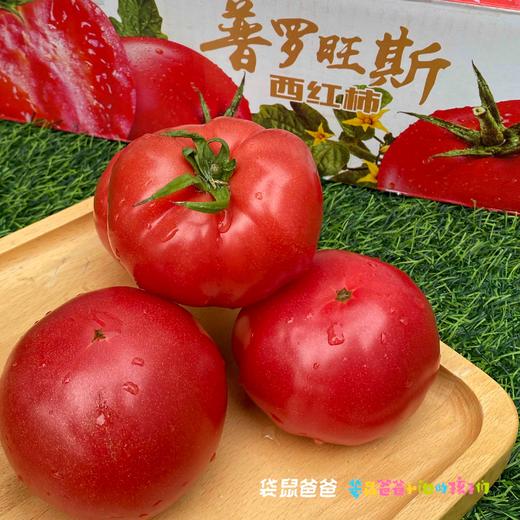 【美味生鲜丨普罗旺斯水果西红柿4.5斤装】 高标准培育，自然成熟无激素，当日采摘发货，确保番茄新鲜度，果香浓郁沙瓤多汁，皮薄肉厚，汁水丰沛，孕妇宝宝都能吃，满口都是小时候的味道 商品图3