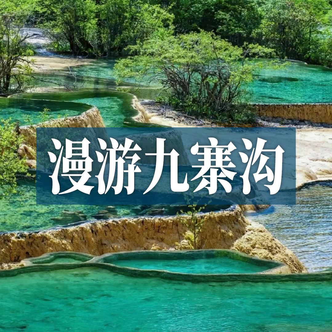 边玩边养老丨漫游九寨沟，一半雪融花开，一半纯净碧水，悠享自然之灵！