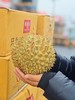 液氮金枕周榴莲 商品缩略图1